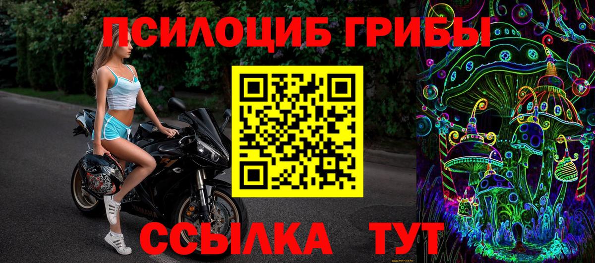 Полысаево  Псилоцибиновые грибы мицелий  Вход с VPN  Псилоцибиновые грибы MAGIC MUSHROOMS 